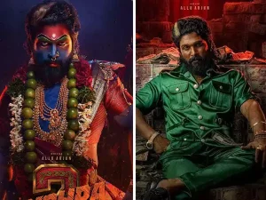 عدالت نے اللو ارجن کو دی عبوری ضمانت