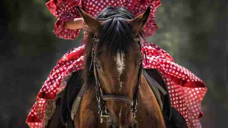 پہلگام میں دہشت گرد حملے کے بعد سیاحت متاثر، 6000 میں سے صرف 100 گھوڑے کام پر، مقامی افراد روزانہ 2 کروڑ کے نقصان میں 625x300 08 june 25