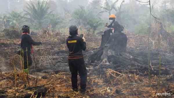 Indonesia Wildfires: انڈونیشیا میں جنگلات کی آگ نومبر تک جاری رہنے کا خدشہ، 1.13 لاکھ افراد سانس کی بیماریوں سے متاثر